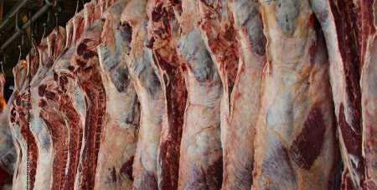 آخرین خبرها از بازار گوشت