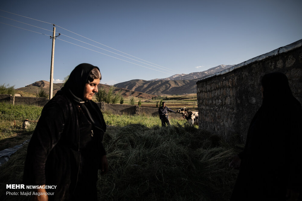 دستانی برای اشتغالزایی در روستا