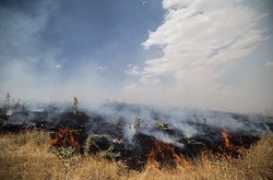 وقوع ۱۴ مورد آتش سوزی در آبیدر سنندج