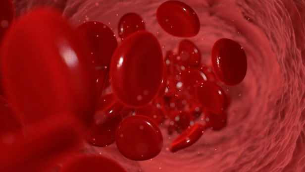کشف پروتئینی در پلاسمای خون جهت درمان آلزایمر