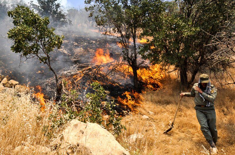 آتش سوزی مراتع چهارباغ گرگان