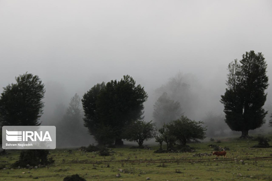 مه و جاده‌ی زیبای خلخال
