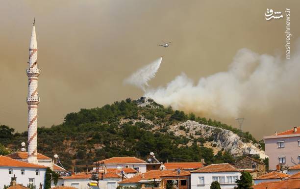 آتش سوزی گسترده در اراضی جنگلی ترکیه