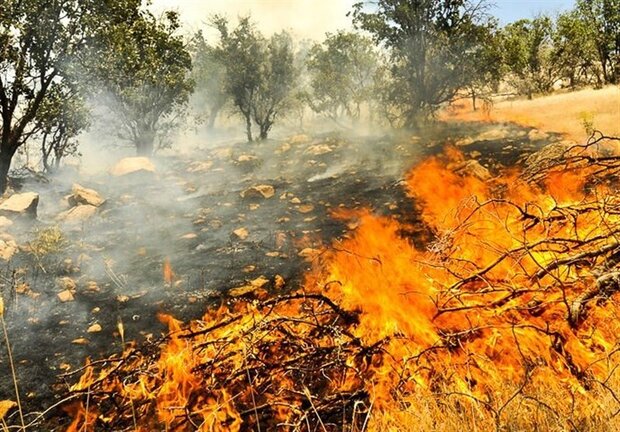 وقوع ۱۳ آتش‌سوزی در مناطق حفاظت شده کرمانشاه