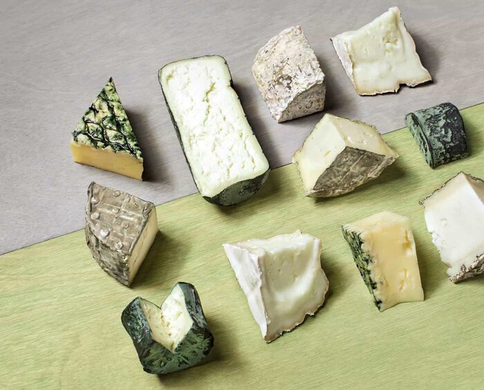 پنیرهای فاسد را به‌جای پنیر کپک‌زده فرانسوی نخورید