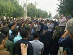معمای «چنار محمودی»