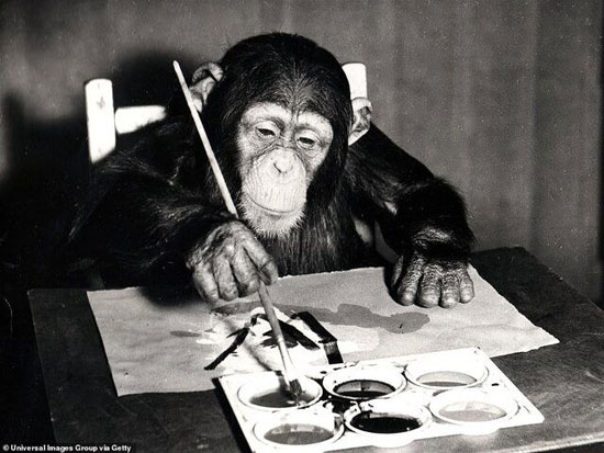 مزایده ۵۵ اثر نقاشی از یک شامپانزه