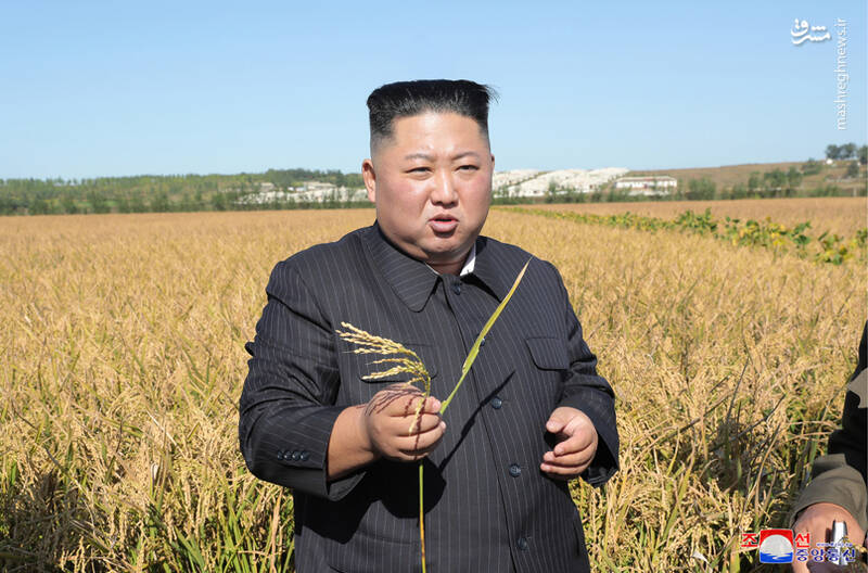 بازدید رهبر کره شمالی از مزارع کشاورزی