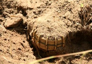 انفجار مین در بستان ۳ کشته و مصدوم برجای گذاشت