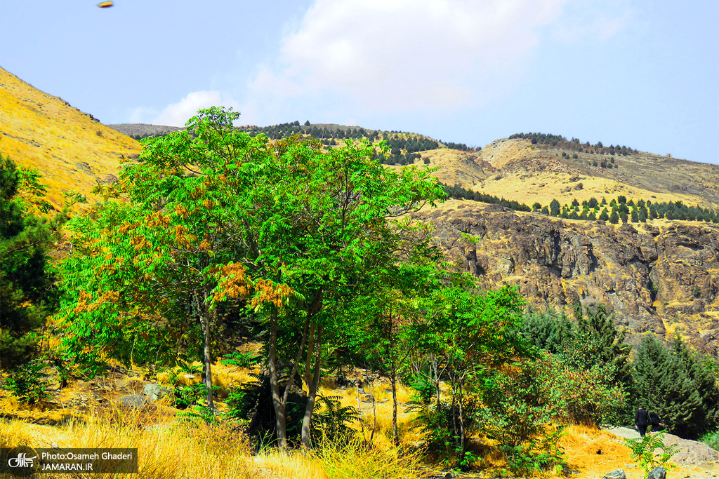 زیبایی های طبیعت پاییزی دارآباد تهران