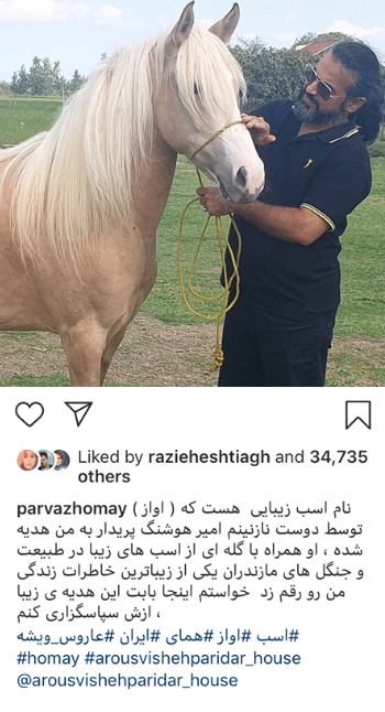 چهره ها/ پرواز و اسب پیشکی‌اش آواز