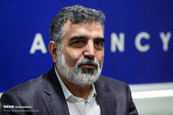 اظهارات مهم کمالوندی در مورد کاهش تعهدات هسته ای ایران