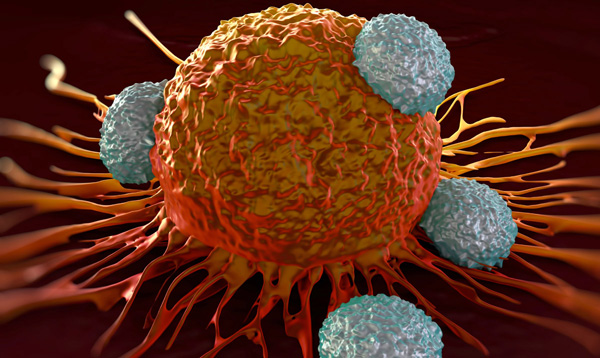 روشی جدید برای نابودی سلول‌های مقاوم سرطانی