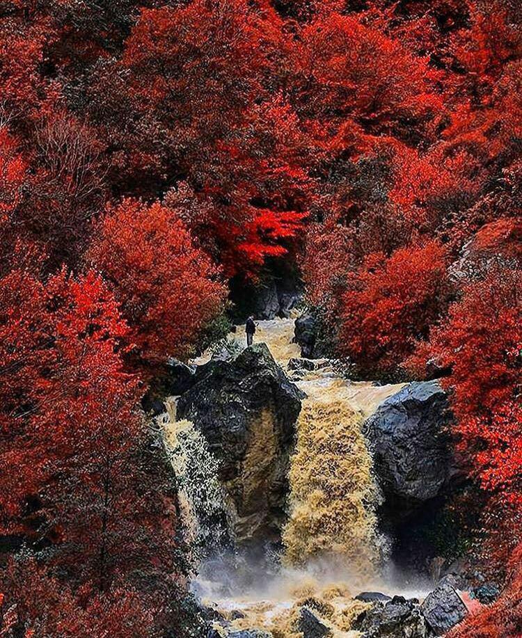 طغیان آبشار زیبای ماسوله در پاییز هزار رنگ گیلان 