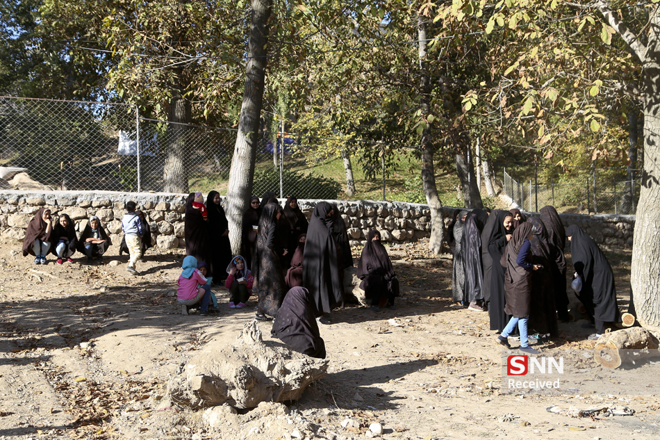  پیاده به سوی رضا (ع)