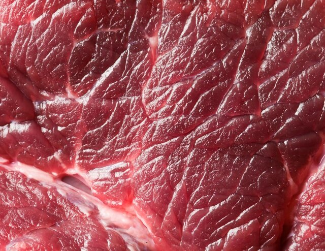 تولید گوشت آزمایشگاهی در الیافی از ژلاتین