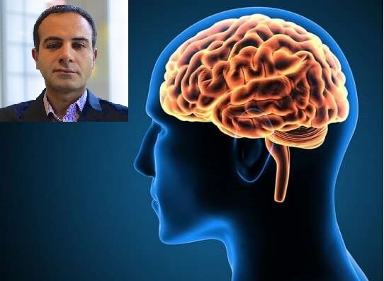 کشف قابلیت مغز در تفکیک صدا توسط پژوهشگر ایرانی