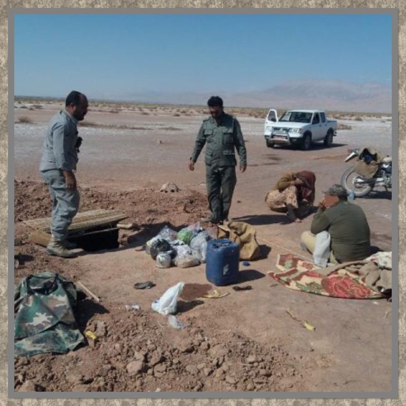 دستگیری عاملان زنده گیری پرندگان شکاری در آرادان