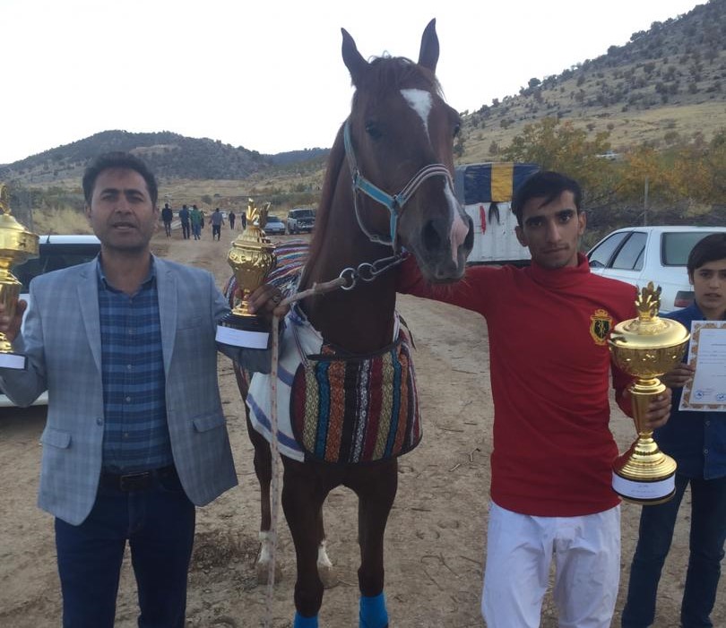چابک‌سوار بوشهری رتبه اول و دوم مسابقات جنوب کشور را کسب کرد