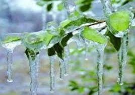 وقوع یخبندان در خراسان جنوبی