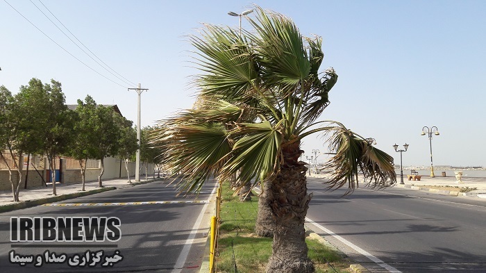 هشدار درباره افزایش سرعت باد و تلاطم دریا در استان بوشهر