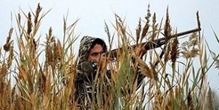 صدور مجوز شکار پرندگان به مدت 2 ماه در زنجان