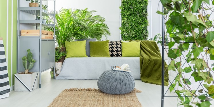 تاثیر گیاهان آپارتمانی بر بهبود کیفیت هوا چقدر است؟