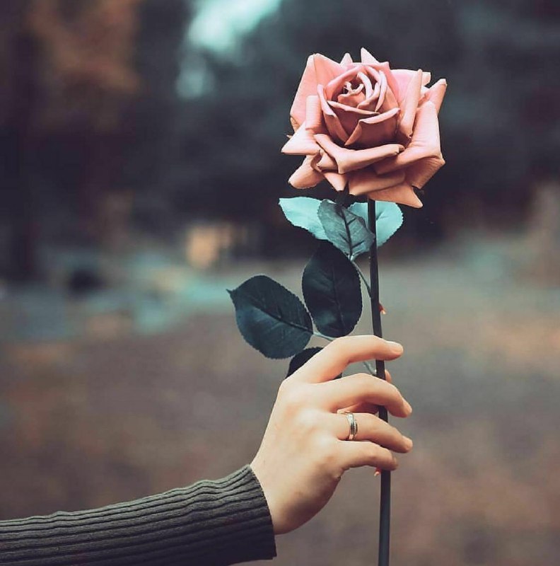 شاعرانه/ برای بار هزارم می‌گویم که دوستت دارم