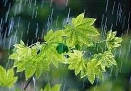 افزایش ۷۹ درصدی بارش ها در اسفراین