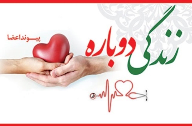 نخستین پیوند کبد استان یزد در بیمارستان شهید صدوقی انجام شد
