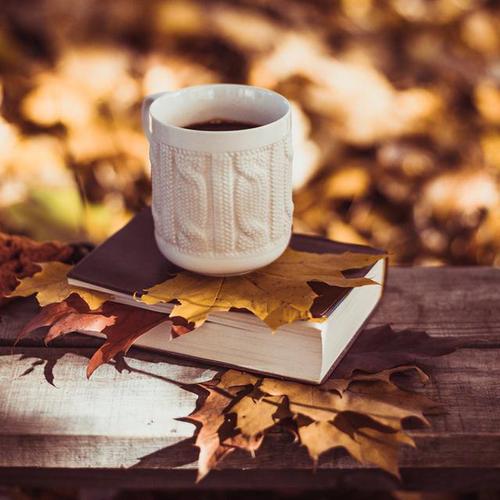 بخشی از کتاب/ در پيِ پول و راحتی باشید، دلتان هرگز آرام نمیگیرد