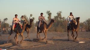 برگزاری مسابقه شترسواری در فهرج