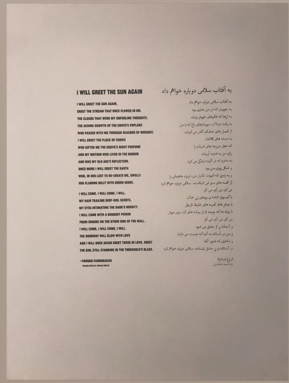 بازیگر هالیوودی ضد اسرائیل، شعر «فروغ فرخزاد» را استوری کرد