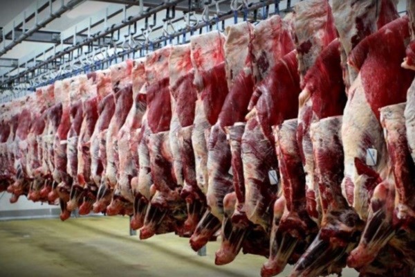 دست های پشت پرده در تعیین قیمت گوشت