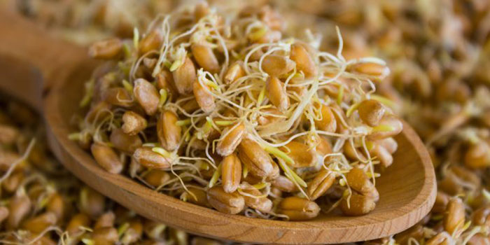 پوستی شفاف با ماسک جوانه‌ گندم