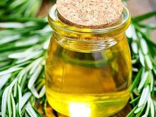 تأثیر جادویی رزماری در تقویت مو