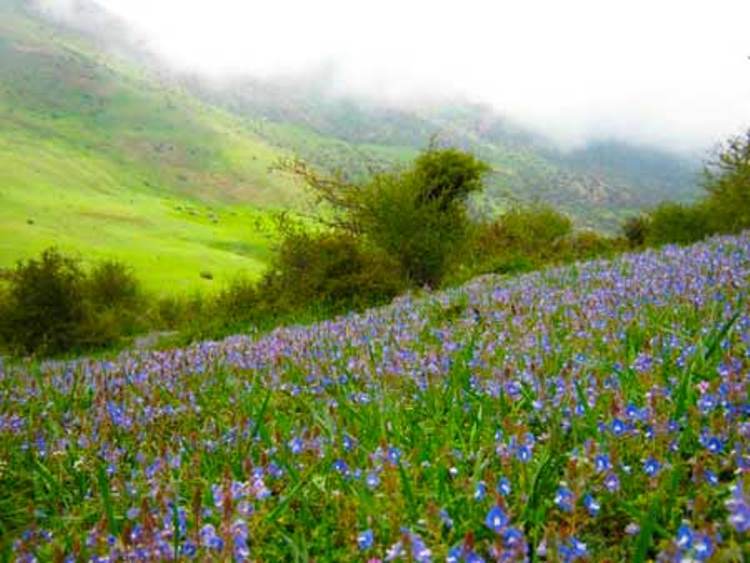 «ارفع ده» منطقه ای بکر و زیبا در شمال کشور