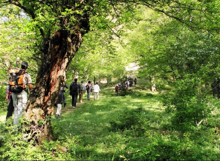 «ارفع ده» منطقه ای بکر و زیبا در شمال کشور