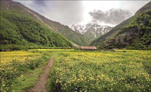 منطقه کم نظیر دشت دریا سر