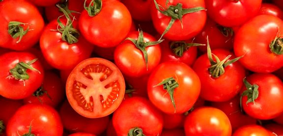قیمت گوجه فرنگی در میادین میوه و تره‌بار تهران؛ ۸۵۰۰ تومان