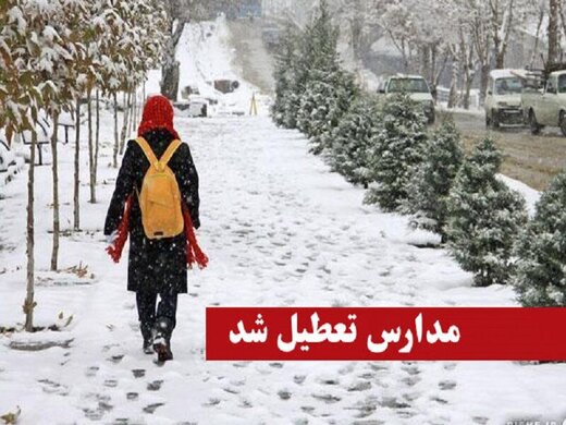 همکاری برف و آنفلوآنزا مدارس چند استان را تعطیل کرد