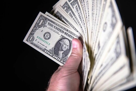 وزیراقتصاد: نرخ واقعی دلار 8500 تا 9000 تومان است