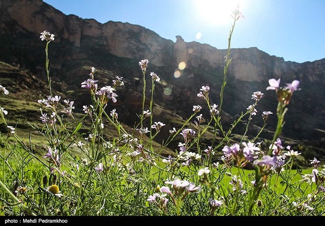 طبیعت پاییزی ایذه بهشت خوزستان