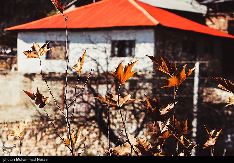 طبیعت پاییزی در گلستان