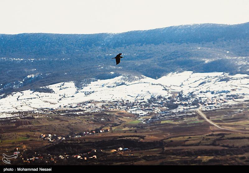 طبیعت پاییزی در گلستان