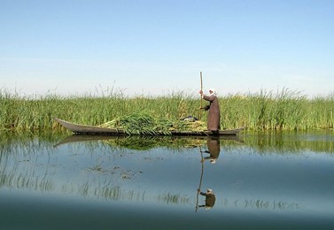 پرآب شدن ۸۵ درصد تالاب هویزه