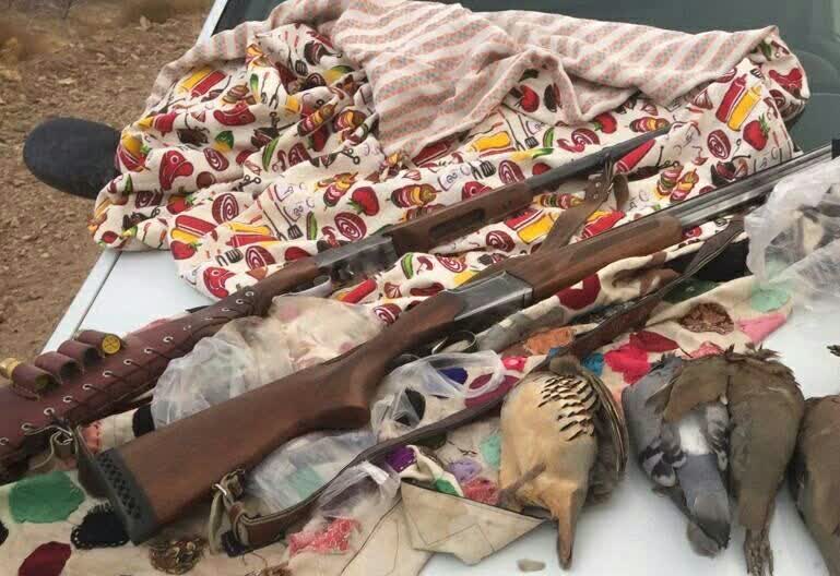 دستگیری شکارچیان پرندگان وحشی در شهرستان جیرفت