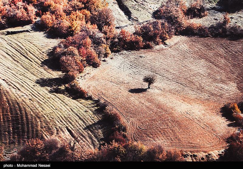 طبیعت پاییزی در گلستان
