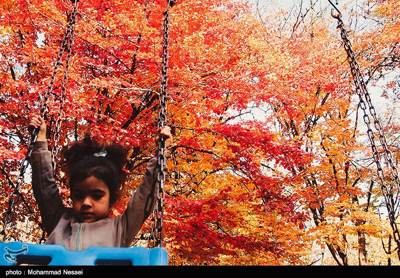 طبیعت پاییزی در گلستان