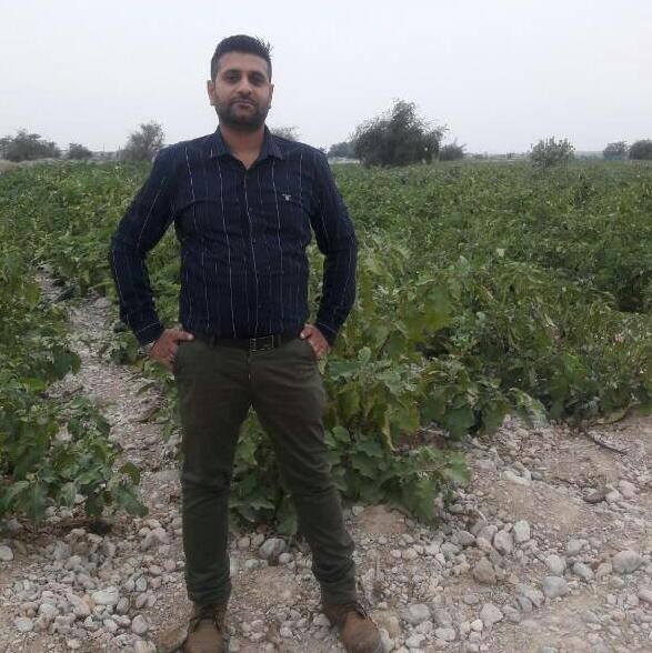 آخرین خبر | من در مزارع بادمجان روستاي سرخون
